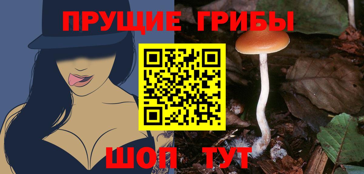 купить наркотик  Вход с VPN  Лянтор  Галлюциногенные грибы GOLDEN TEACHER 
