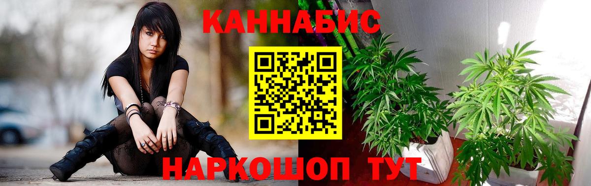 Каннабис OG Kush Лянтор